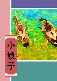 小娘子的猫